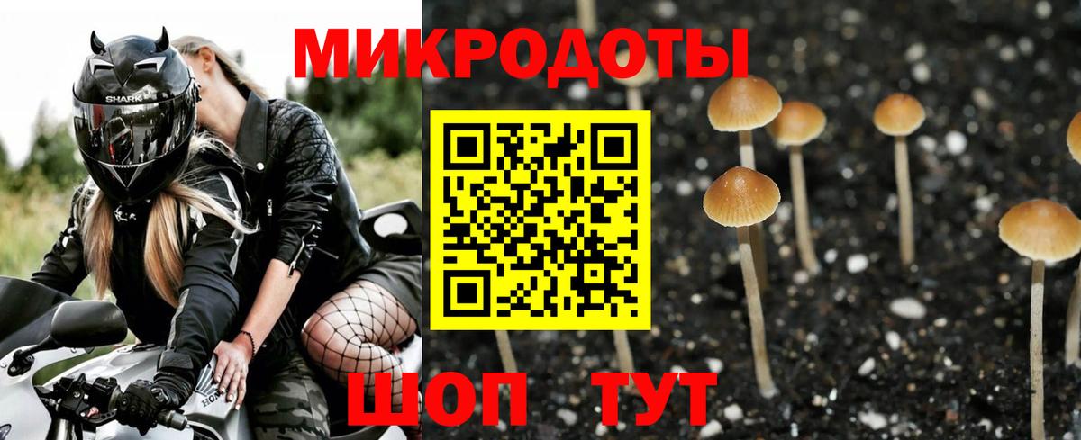 Галлюциногенные грибы GOLDEN TEACHER Партизанск